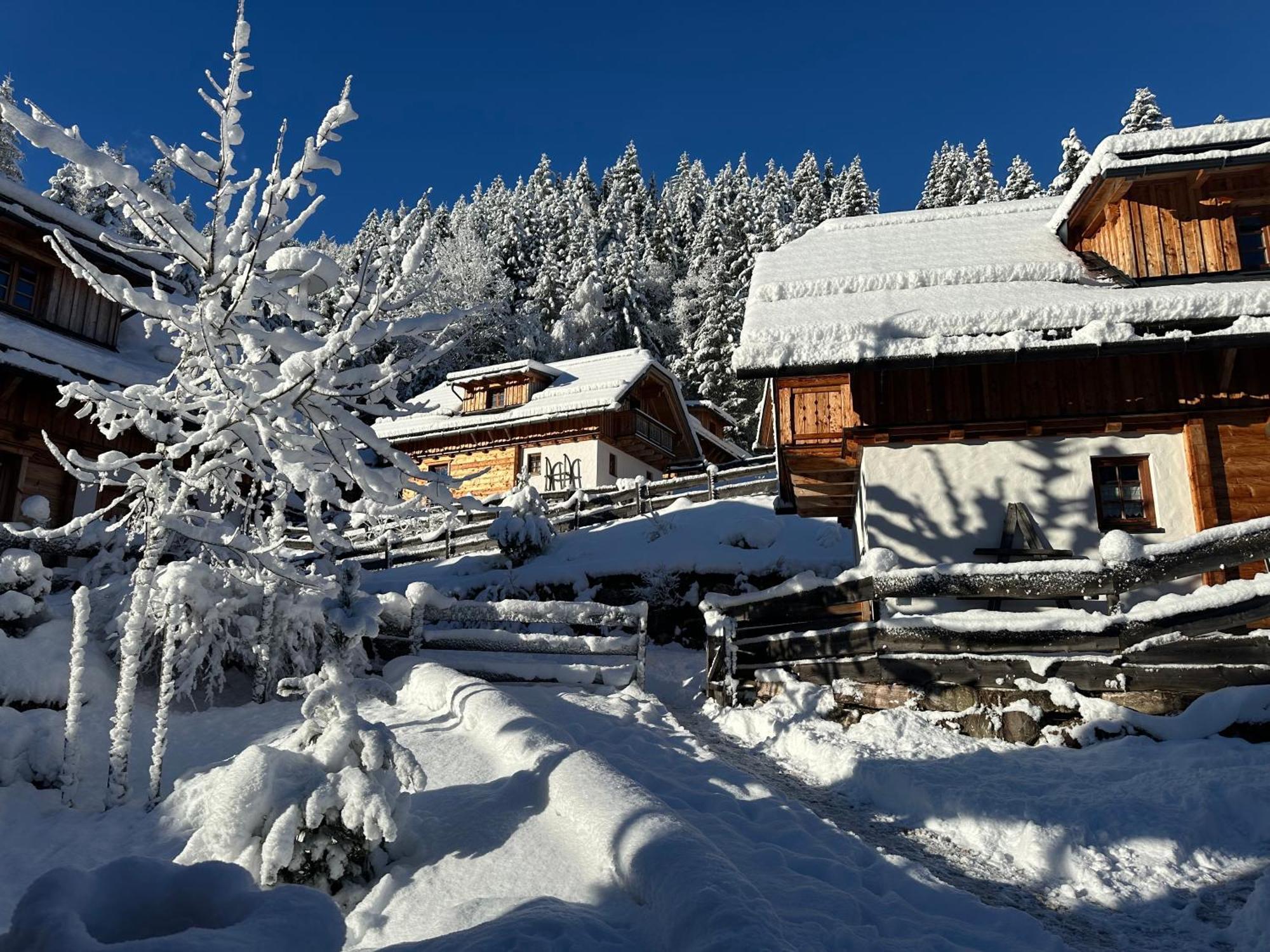 Bergdorf Riesner Hotel Donnersbachwald Buitenkant foto