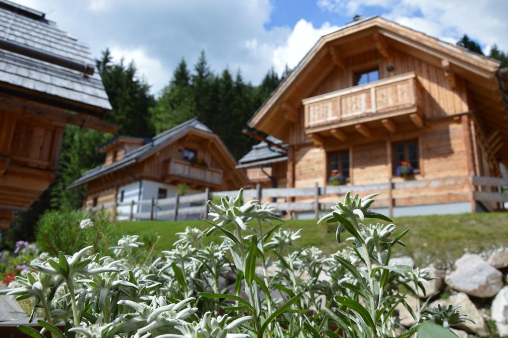Bergdorf Riesner Hotel Donnersbachwald Buitenkant foto
